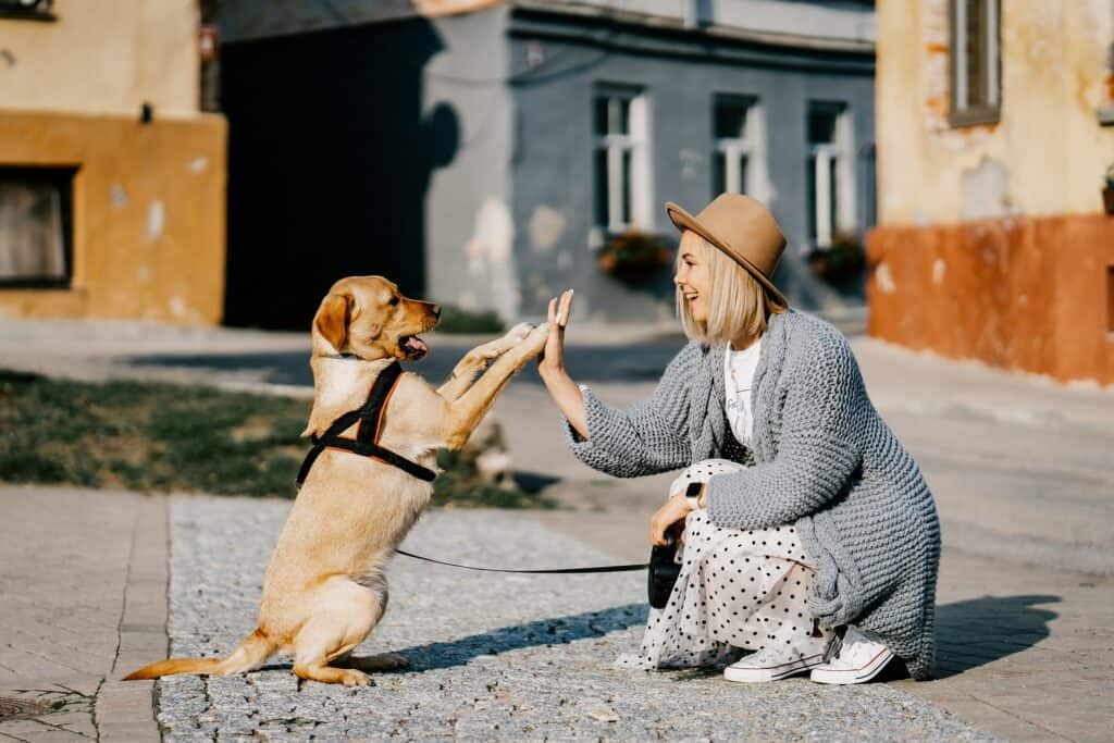 human dog bond